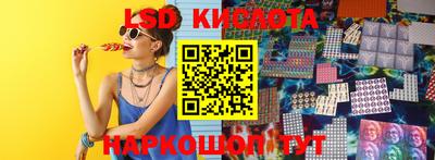 Альфа ПВП Гатчина