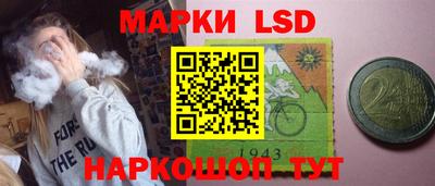 Альфа ПВП Гатчина