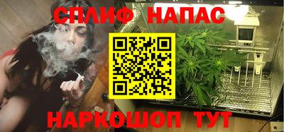 спайс Гай