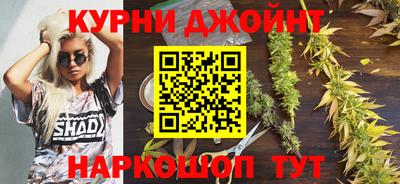 Альфа ПВП Гатчина