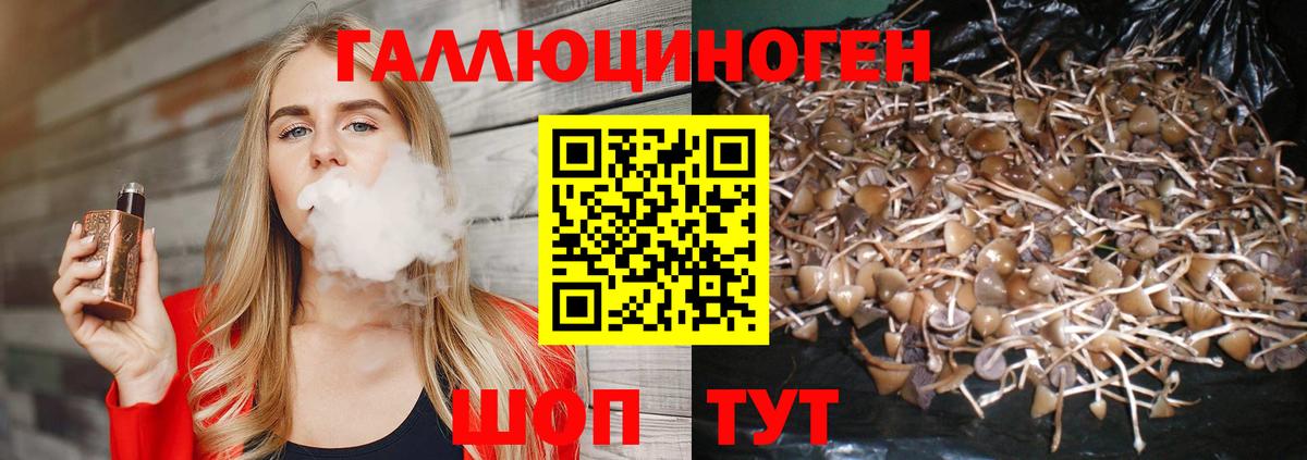 Псилоцибиновые грибы ЛСД  Вход с VPN  Волхов 